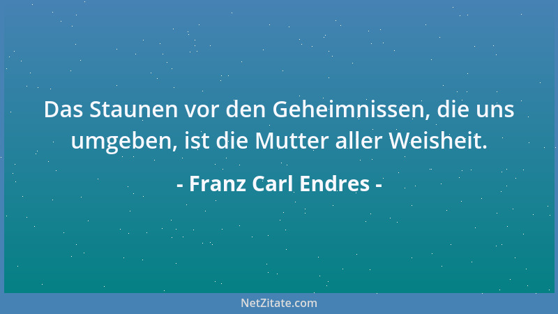 Franz Carl Endres - Bei vielen Menschen besteht der Anstand nur darin, dass sie das nicht tun, was sie denken....
