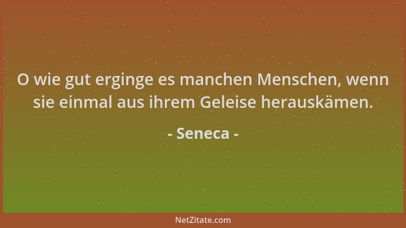 Seneca - O wie gut erginge es manchen Menschen, wenn sie einmal aus ihrem Geleise herauskämen....