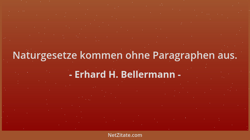 Erhard H. Bellermann - Naturgesetze kommen ohne Paragraphen aus....