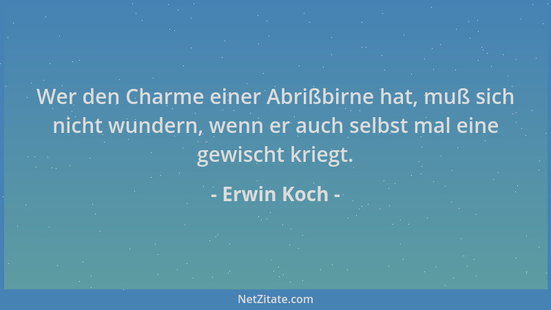 Erwin Koch - Wer den Charme einer Abrißbirne hat, muß sich nicht wundern, wenn er auch selbst mal eine gewischt kriegt....