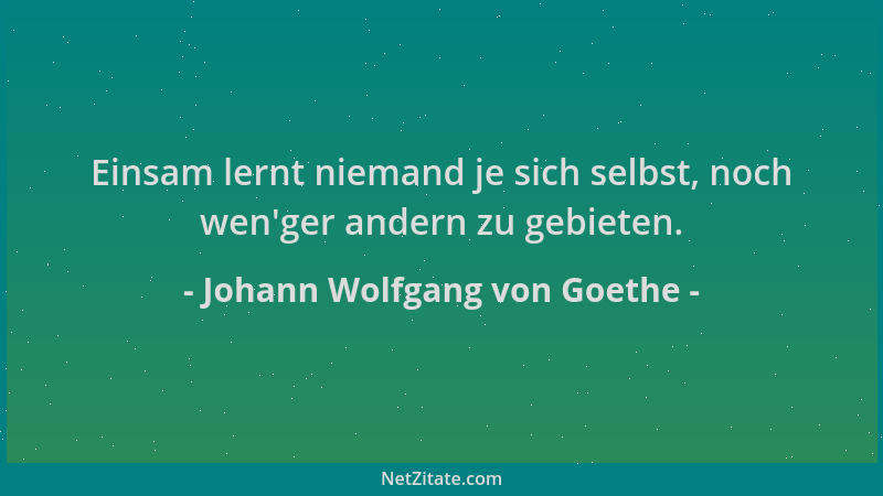 Johann Wolfgang von Goethe - Einsam lernt niemand je sich selbst, noch wen 'ger andern zu gebieten....