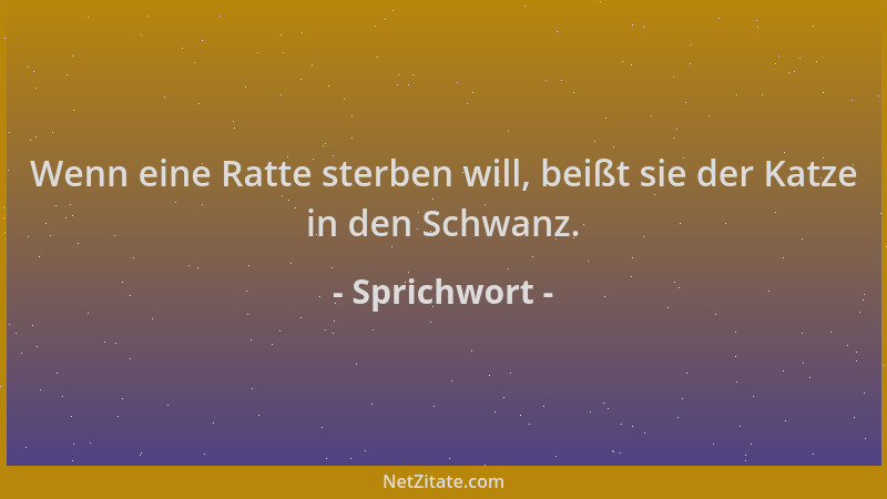 Sprichwort - Wenn eine Ratte sterben will, beißt sie der Katze in den Schwanz....