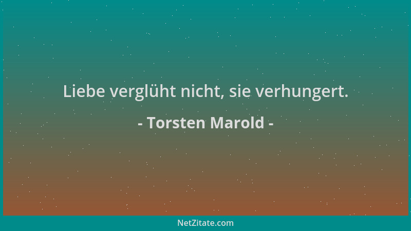 Torsten Marold - Liebe verglüht nicht, sie verhungert....