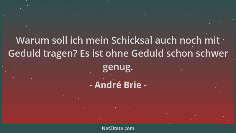 André Brie - Warum soll ich mein Schicksal auch noch mit Geduld tragen? Es ist ohne Geduld schon schwer genug....