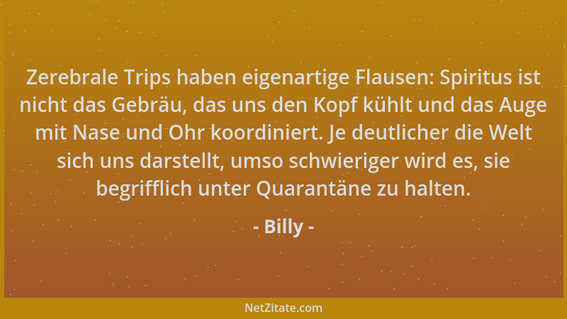 Billy - Zerebrale Trips haben eigenartige Flausen: Spiritus ist nicht das Gebräu, das uns den Kopf kühlt und das Auge mit N...