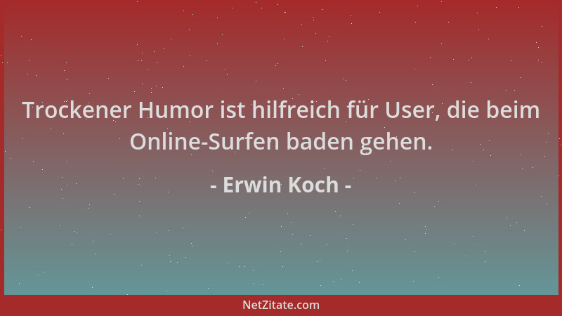 Erwin Koch - Trockener Humor ist hilfreich für User, die beim Online-Surfen baden gehen....