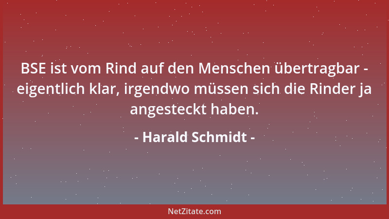Harald Schmidt - BSE ist vom Rind auf den Menschen übertragbar - eigentlich klar, irgendwo müssen sich die Rinder ja angest...