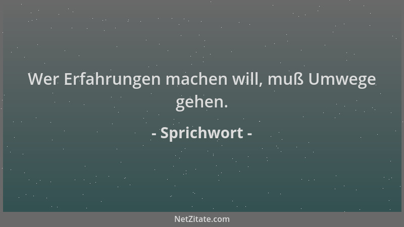 Sprichwort - Wer Erfahrungen machen will, muß Umwege gehen....
