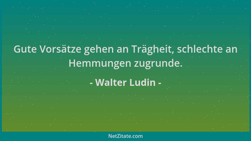 Walter Ludin - Gute Vorsätze gehen an Trägheit, schlechte an Hemmungen zugrunde....