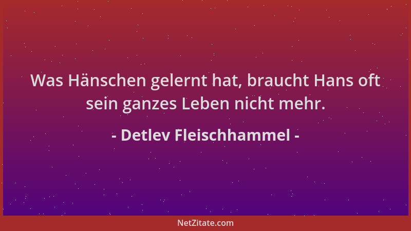 Detlev Fleischhammel - Was Hänschen gelernt hat, braucht Hans oft sein ganzes Leben nicht mehr....