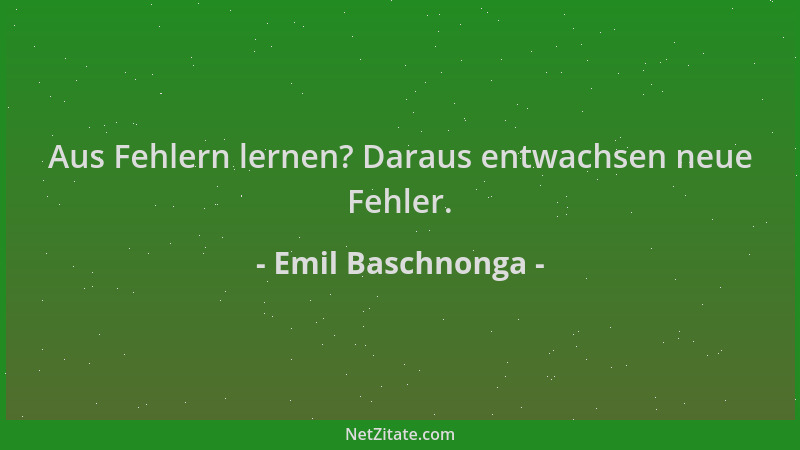 Emil Baschnonga - Aus Fehlern lernen? Daraus entwachsen neue Fehler....