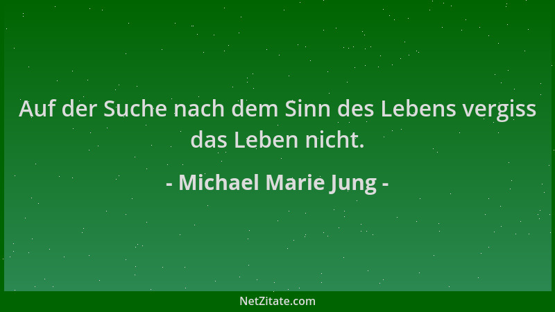 Michael Marie Jung - Auf der Suche nach dem Sinn des Lebens vergiss das Leben nicht....