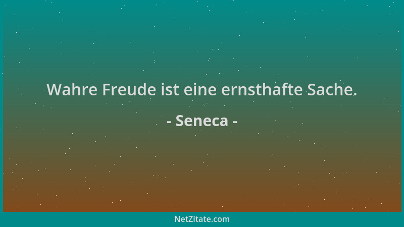 Seneca - Wahre Freude ist eine ernsthafte Sache....