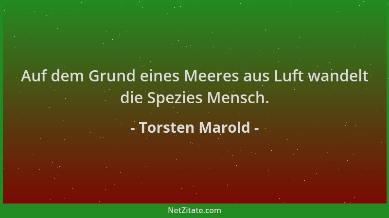 Torsten Marold - Auf dem Grund eines Meeres aus Luft wandelt die Spezies Mensch....