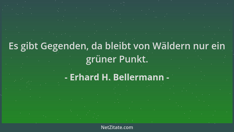 Erhard H. Bellermann - Es gibt Gegenden, da bleibt von Wäldern nur ein grüner Punkt....