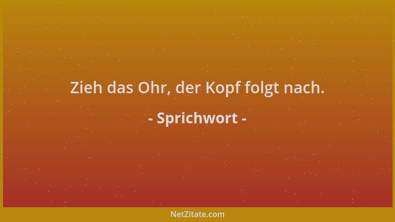Sprichwort - Zieh das Ohr, der Kopf folgt nach....