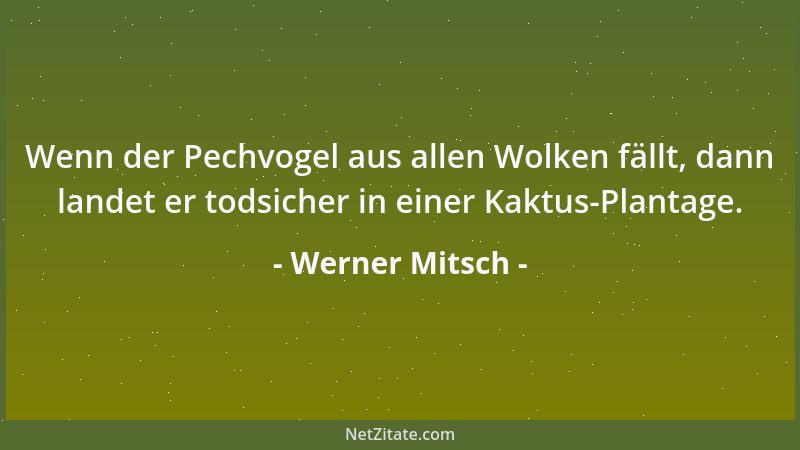 Werner Mitsch - Es scheint Gesetzeslücken zu geben, die nur mit einer Ohrfeige zu schließen sind....