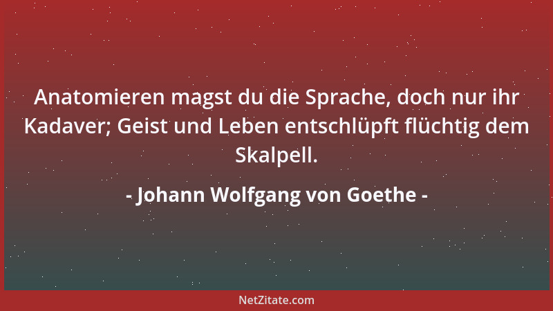 Johann Wolfgang von Goethe - Anatomieren magst du die Sprache, doch nur ihr Kadaver; Geist und Leben entschlüpft flüchtig d...