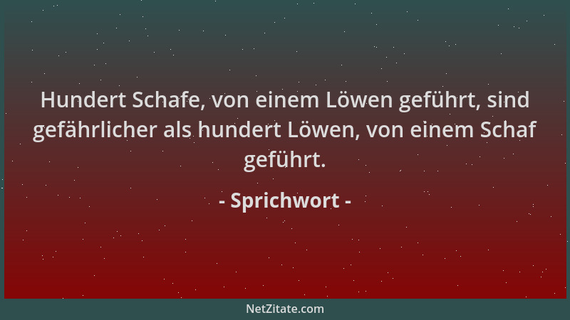 Sprichwort - Hundert Schafe, von einem Löwen geführt, sind gefährlicher als hundert Löwen, von einem Schaf geführt....