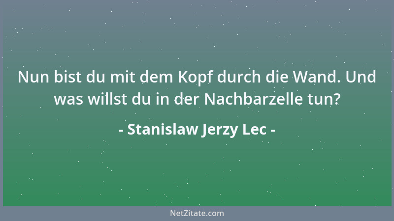 Stanislaw Jerzy Lec - Nun bist du mit dem Kopf durch die Wand. Und was willst du in der Nachbarzelle tun?...