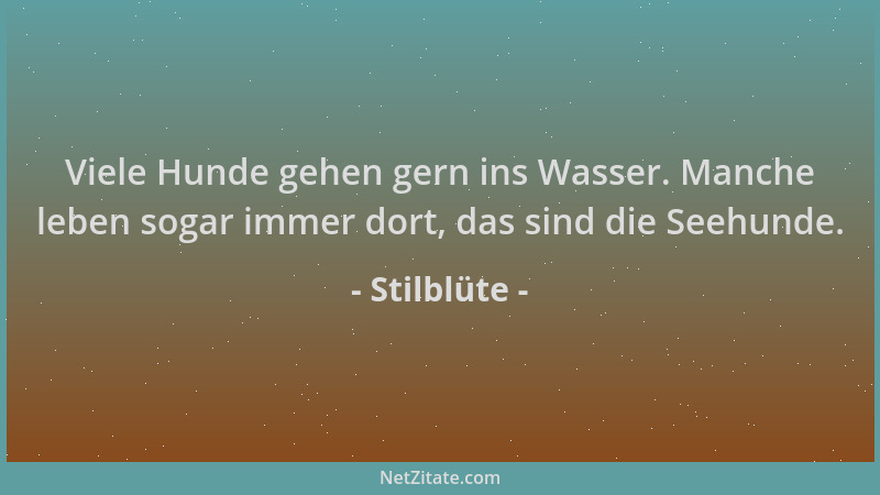 Stilblüte - Viele Hunde gehen gern ins Wasser. Manche leben sogar immer dort, das sind die Seehunde....