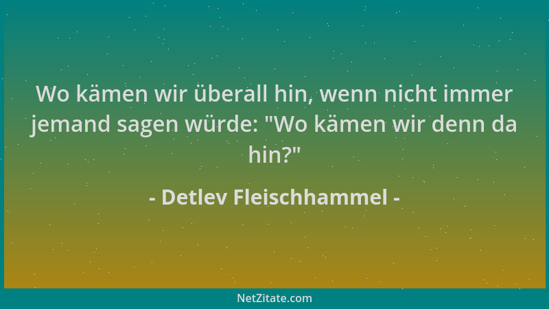 Detlev Fleischhammel - Wo kämen wir überall hin, wenn nicht immer jemand sagen würde: "Wo kämen wir denn da hin? "...