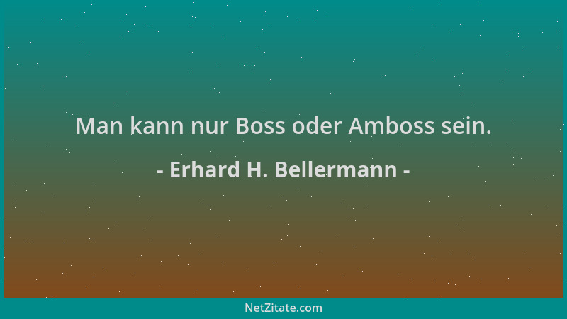 Erhard H. Bellermann - Man kann nur Boss oder Amboss sein....