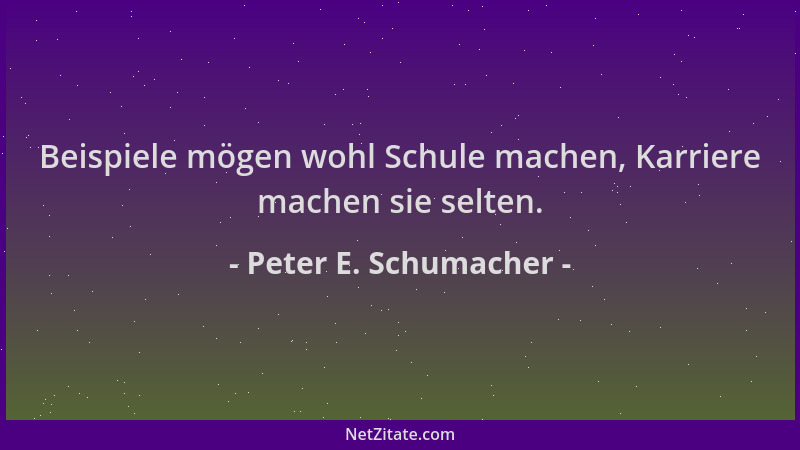 Peter E. Schumacher - Beispiele mögen wohl Schule machen, Karriere machen sie selten....