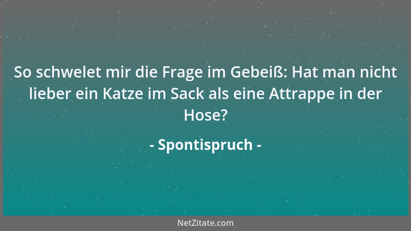 Spontispruch - Das haben Sie schön gesagt, Herr Kollege. Vielleicht kriegen Sie dafür das Kamener Kreuz am Bande....