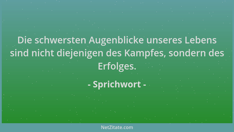 Sprichwort - Die schwersten Augenblicke unseres Lebens sind nicht diejenigen des Kampfes, sondern des Erfolges....
