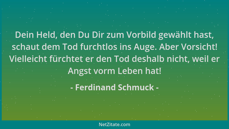 Ferdinand Schmuck - Dein Held, den Du Dir zum Vorbild gewählt hast, schaut dem Tod furchtlos ins Auge. Aber Vorsicht! Viell...