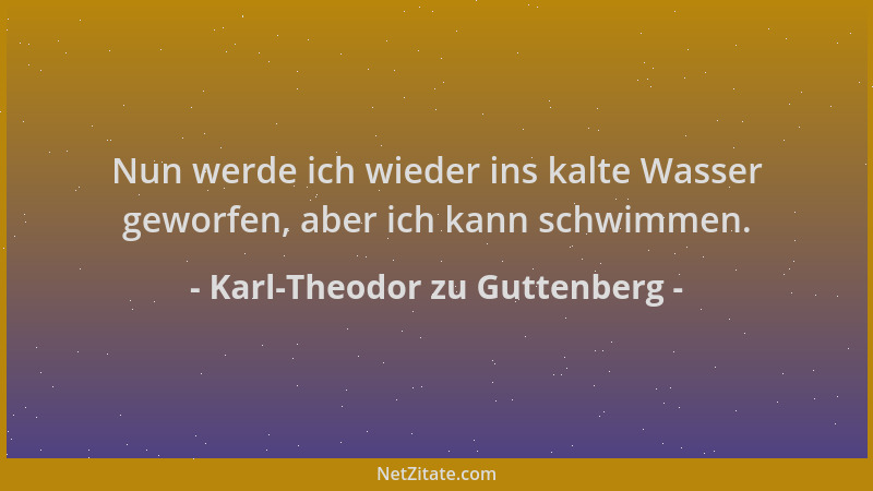 Karl-Theodor zu Guttenberg - Nun werde ich wieder ins kalte Wasser geworfen, aber ich kann schwimmen....