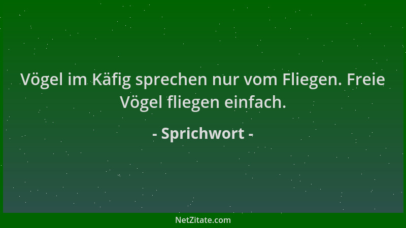 Sprichwort - Vögel im Käfig sprechen nur vom Fliegen. Freie Vögel fliegen einfach....