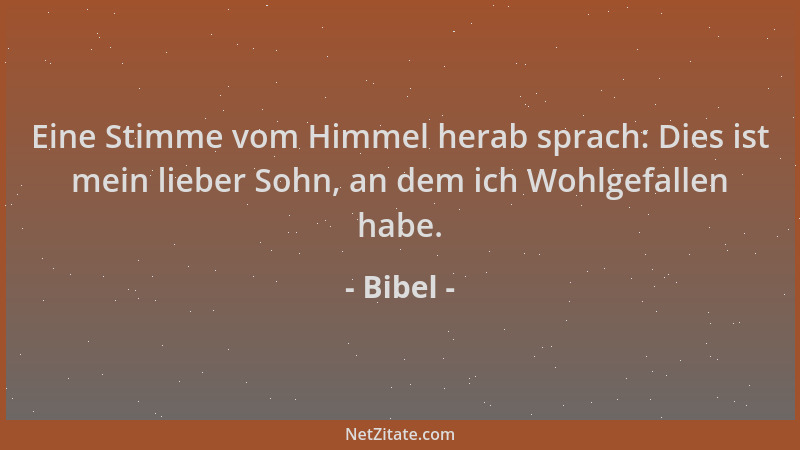 Bibel - Eine Stimme vom Himmel herab sprach: Dies ist mein lieber Sohn, an dem ich Wohlgefallen habe....