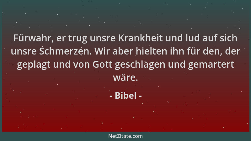 Bibel - Fürwahr, er trug unsre Krankheit und lud auf sich unsre Schmerzen. Wir aber hielten ihn für den, der geplagt und vo...