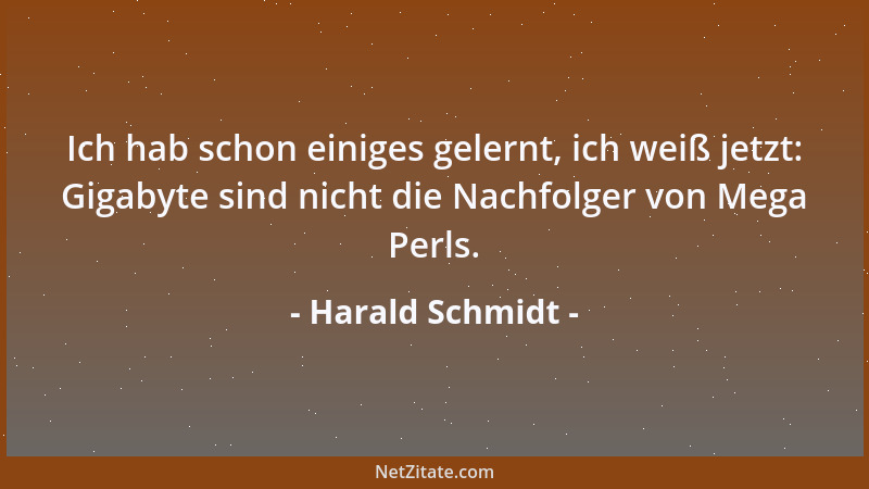 Harald Schmidt - Ich hab schon einiges gelernt, ich weiß jetzt: Gigabyte sind nicht die Nachfolger von Mega Perls....