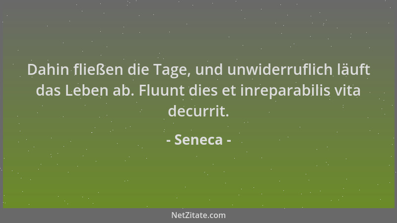 Seneca - Dahin fließen die Tage, und unwiderruflich läuft das Leben ab. Fluunt dies et inreparabilis vita decurrit....