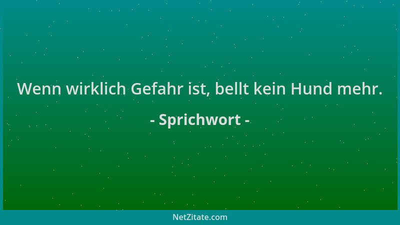Sprichwort - Wenn wirklich Gefahr ist, bellt kein Hund mehr....