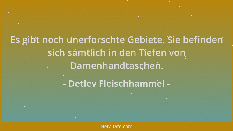 Detlev Fleischhammel - Es gibt noch unerforschte Gebiete. Sie befinden sich sämtlich in den Tiefen von Damenhandtaschen....