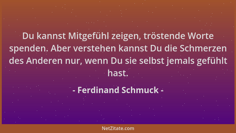 Ferdinand Schmuck - Du kannst Mitgefühl zeigen, tröstende Worte spenden. Aber verstehen kannst Du die Schmerzen des Anderen...