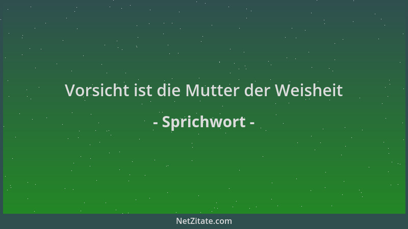 Sprichwort - Vorsicht ist die Mutter der Weisheit...