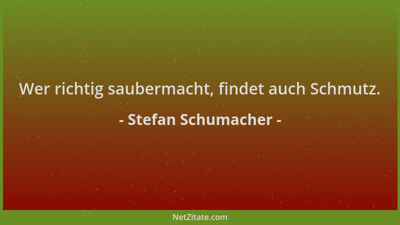 Stefan Schumacher - Wer richtig saubermacht, findet auch Schmutz....