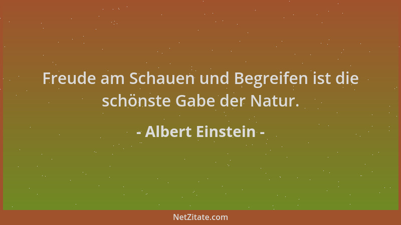 Albert Einstein - Freude am Schauen und Begreifen ist die schönste Gabe der Natur....