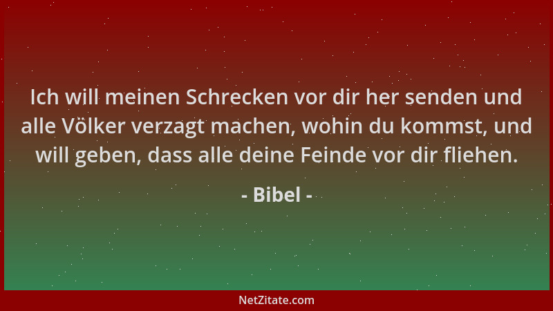 Bibel - Ich will meinen Schrecken vor dir her senden und alle Völker verzagt machen, wohin du kommst, und will geben, dass...