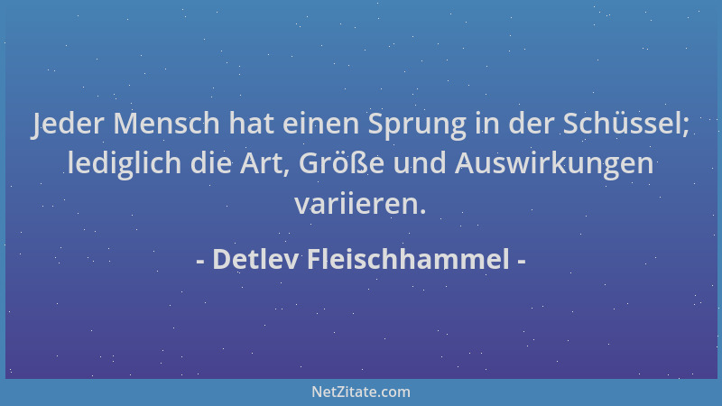 Detlev Fleischhammel - Jeder Mensch hat einen Sprung in der Schüssel; lediglich die Art, Größe und Auswirkungen variieren....