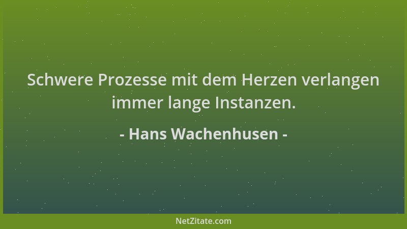 Hans Wachenhusen - Schwere Prozesse mit dem Herzen verlangen immer lange Instanzen....