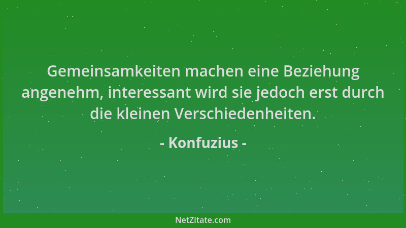 Konfuzius - Gemeinsamkeiten machen eine Beziehung angenehm, interessant wird sie jedoch erst durch die kleinen Verschiedenh...