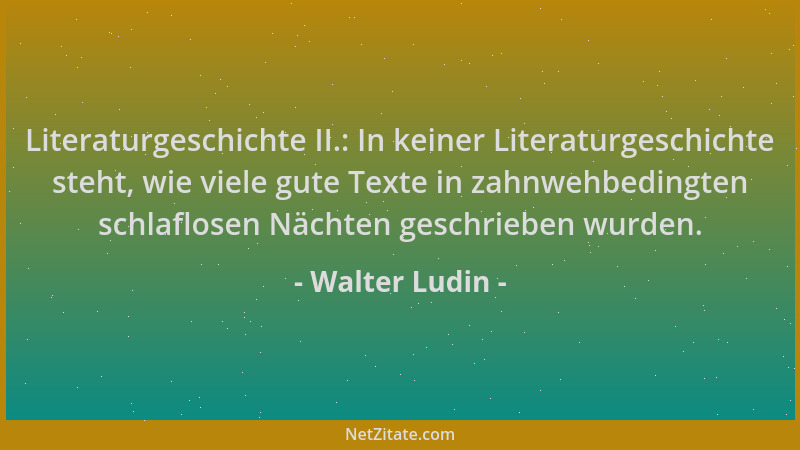 Walter Ludin - Literaturgeschichte II.: In keiner Literaturgeschichte steht, wie viele gute Texte in zahnwehbedingten schla...