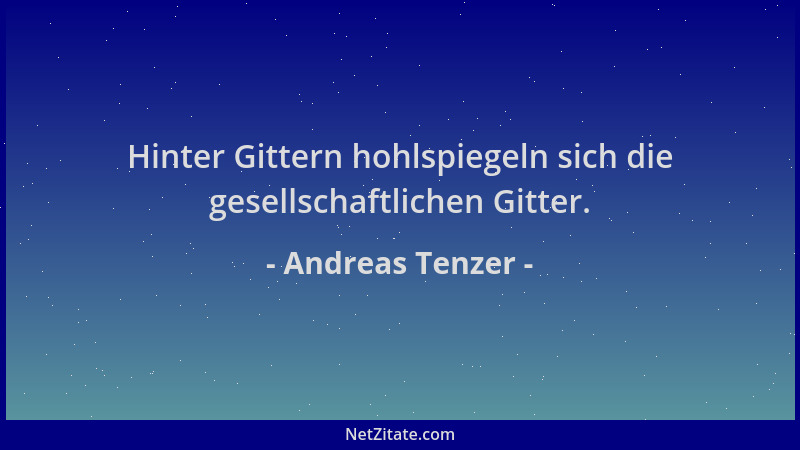 Andreas Tenzer - Hinter Gittern hohlspiegeln sich die gesellschaftlichen Gitter....
