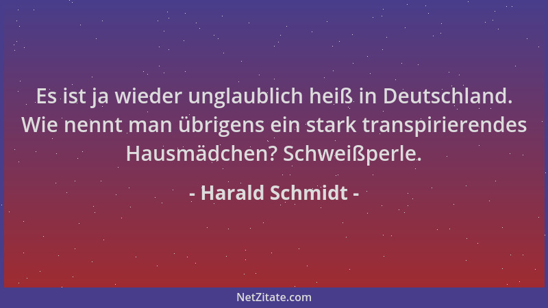 Harald Schmidt - Es ist ja wieder unglaublich heiß in Deutschland. Wie nennt man übrigens ein stark transpirierendes Hausmä...